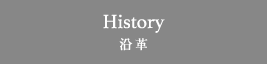 History 沿革